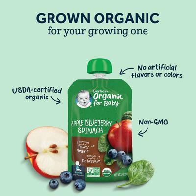 Gerber Organic Baby Food Pouches, 2nd Foods for Sitter, Fruit  Veggie Variety Pack, 3.5 Ounce (Set of 18)