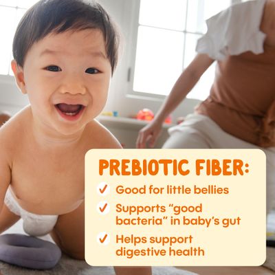 Happy Baby Digestive Support Blends, Organic Stage 2 Baby Food with Prebiotic Fiber, Apple, Pumpkin  Prune, 4 Ounce Pouch (Pack of 16)