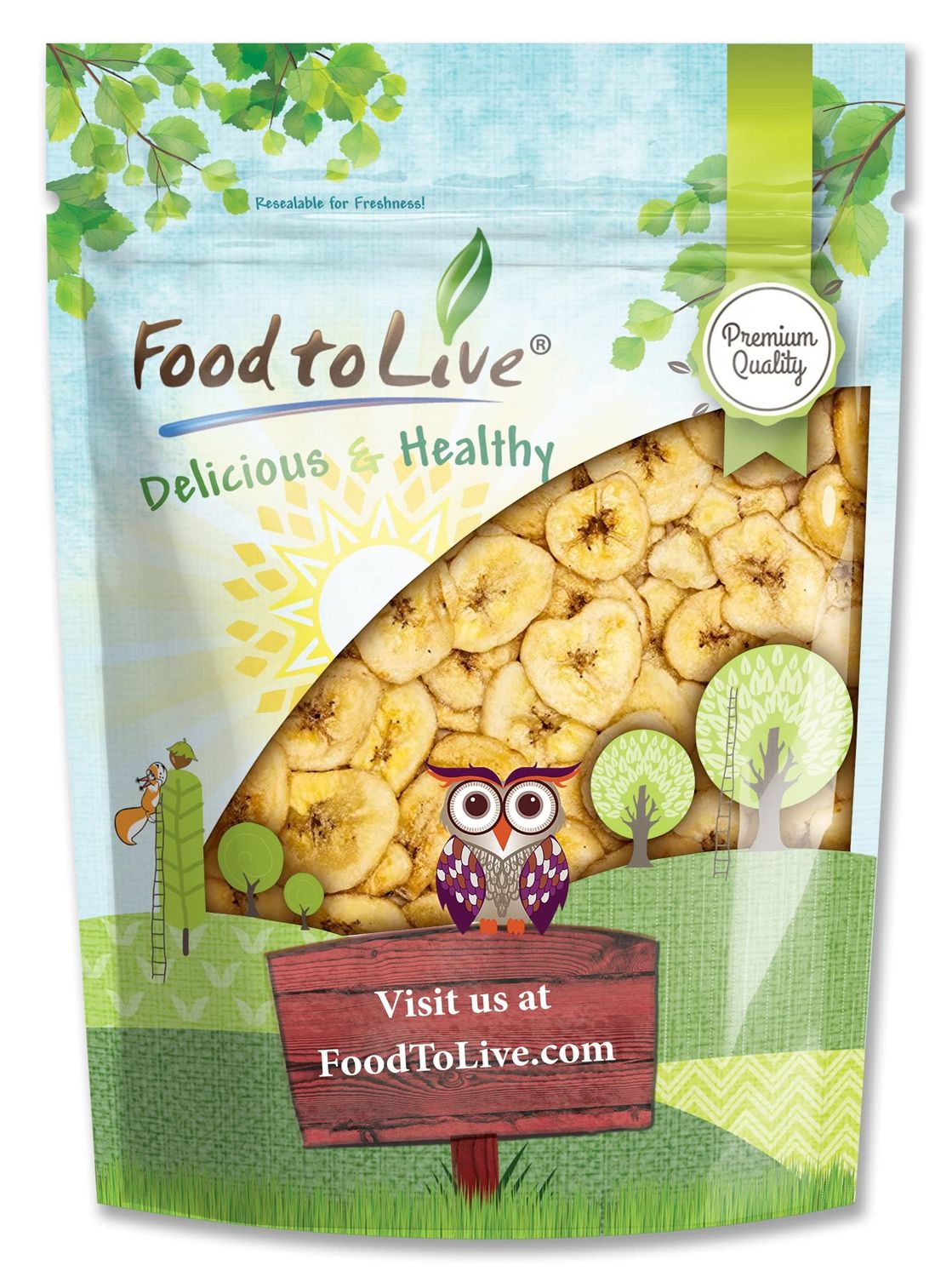 Food to Live Banana Chips, 2 Pounds - Sweetened, Unsulfured, Kosher, Vegan, Bulk, Crisp &amp; Tasty Snack