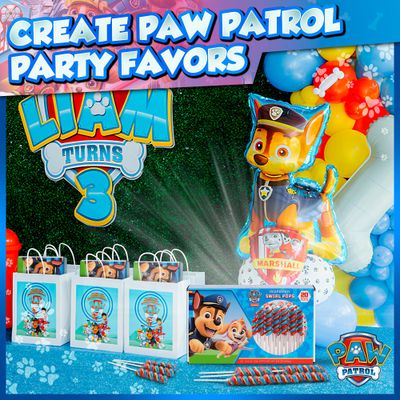 Paw Patrol Swirl Lollipops 20pk- Paw Patrol Lollipops For Paw Patrol Party Favors - Paw Patrol Candy - Paw Patrol Birthday Decorations - Paw Patrol Cake Toppers,Paw Patrol Food,Paw Patrol Snacks