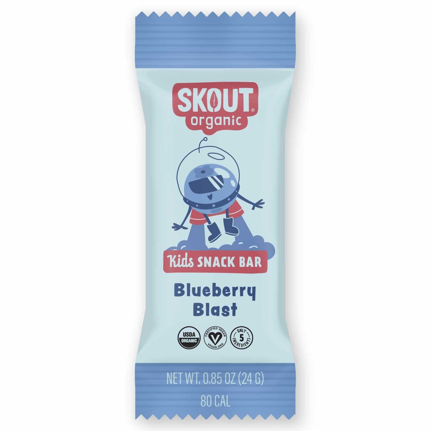 Skout Organic Blueberry Blast Kids Snack Bars (36 Pack) | Organic Kids Snack Bars| Plant-Based Nutrition, No Refined Sugar | Vegan &amp; Paleo | Gluten, Dairy, Grain, Peanut, Tree Nut &amp; Soy Free