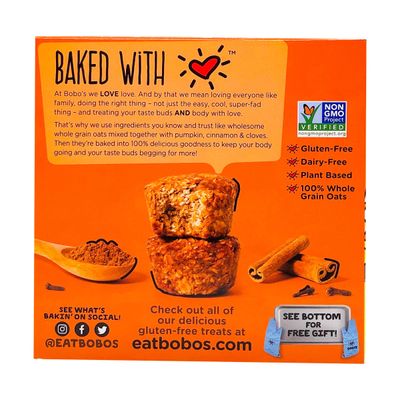 Bobo's Oat Bars Pumpkin Spice Oat Bites, 13 OZ