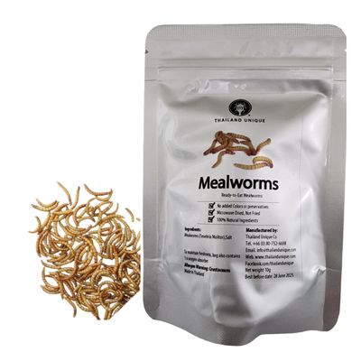 Thailand Unique Mealworms - 10 Gram Bag of Dehydrated Edible Insects for Humans, Nutritious Bugs Superfood Weird Unusual Snack Gift