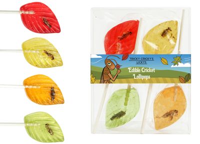 Tricky Cricky&#39;s Lickys - Gourmet Edible Bug Candy Lollipops - Edible Insect Cricket Lollipops - Weird Candy for Pranks, Gag Gift, or Stocking Stuffer - 4 Large Bug Suckers in a Gift Box