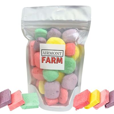 Freeze Dried Candy Now and Later 4oz - Ships In Box - Deliciously Crunchy, Intense Flavor, Lightweight Snack