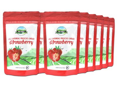 Orsky Freeze Dried Strawberries Fruit Snacks 12 Single-Serve Pack Dried Strawberry, Kosher, No Sugar Added, Holiday Gifts, Dehydrated Strawberries, Healthy Snacks For Kids &amp; Adults 0.53 Ounce