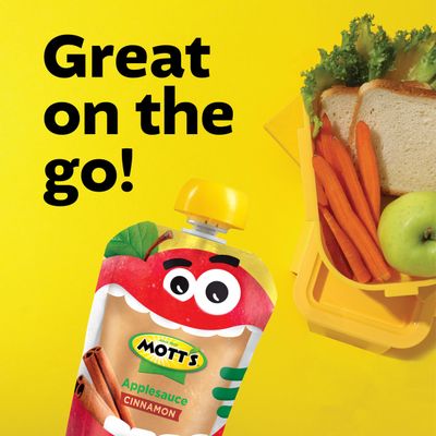 Mott's Cinnamon Applesauce, 3.2 Oz Clear Pouches, 48 Count (4 Packs Of 12), No Artificial Flavors, Good Source Of Vitamin C, Nutritious Option For The Whole Family