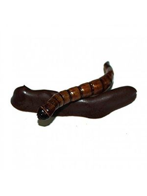 ecoEat Edible Bugs Dark Chocolate Covered Superworms - 11g Worm Bag- Edible Insects Roasted Superworms Dipped in Dark Chocolate - Snack Food Gift