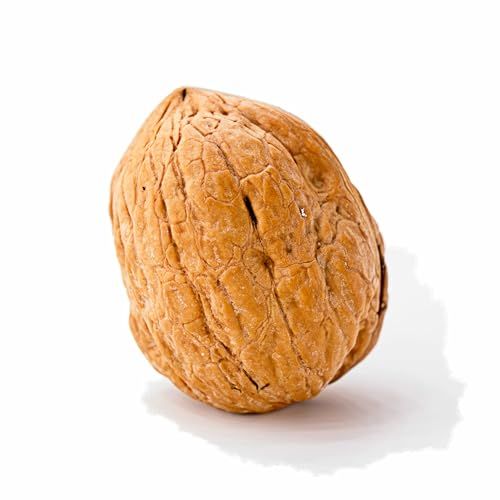Crazy Nuts | California Grown Whole Walnuts In Shell, 5lb | Raw Walnuts Whole Bulk, Walnuts for Squirrels, Nuts in Shells for Squirrels