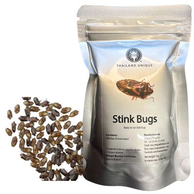 Thailand Unique Stink Bugs Salted - 10 Bag Dyhydrated Edible Insects for Humans, Healthy Superfood Bugs Unique Snack Gift