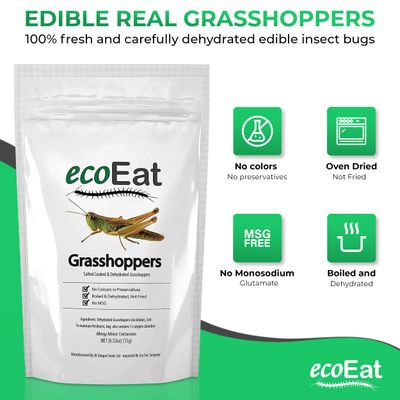 ecoEat Edible Bugs Dehydrated Grasshoppers - 15g Pack - Edible Insects Candy Grasshoppers - Snack Food Gifts