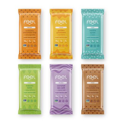 Feel Vegan Protein Bars - Keto, Gluten Free, Organic, 15g Protein - Dairy Free, Low Sugar - Variety Pack (6 Flavors, 6 Pack)