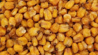 FirstChoiceCandy Roasted and Salted Corn Nuggets, Crunchy Corn Nuts Snack 1 pound