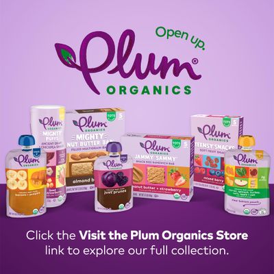 Plum Organics Mighty Snack Bars - Blueberry - 0.67 oz Bars (Pack of 6) - Organic Fruit and Vegetable Toddler Food Snack Bars