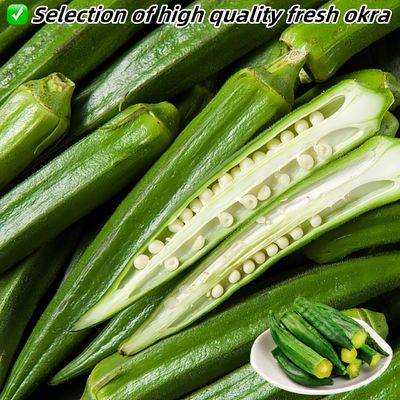 Okra Chips Freeze Dried Vegetables - Crunchy Dehydrated Okra Crisp, Sea Salt Flavor Chinese Snacks, Resealable Bag (4.41 Oz)