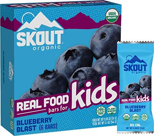 SKOUT Organic Blueberry Blast Kids Bars, 5.1 OZ
