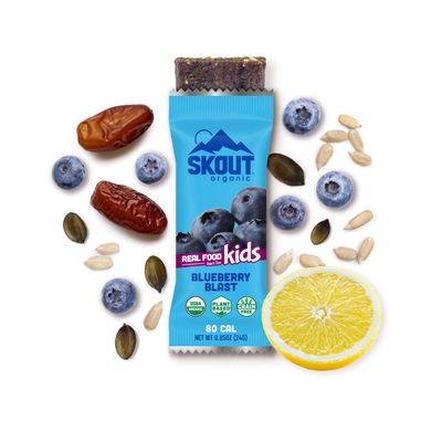 SKOUT Organic Blueberry Blast Kids Bars, 5.1 OZ