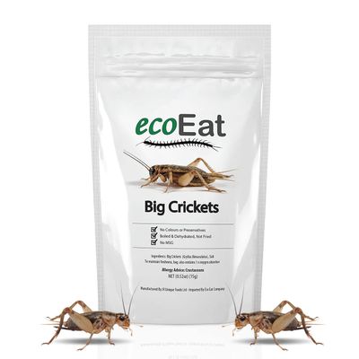 ecoEat Edible Insects Big Black Crickets to Eat - Edible Bugs Edible Dehydrated Crickets - Snack Food Gifts (15g)
