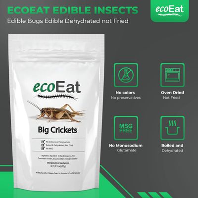 ecoEat Edible Insects Big Black Crickets to Eat - Edible Bugs Edible Dehydrated Crickets - Snack Food Gifts (15g)