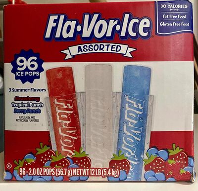 96 Count Assorted Frozen Snacks - Ice Cream Variety Pack with Ice Pops &amp; Flavor Ice: Strawberry, Tropical Punch &amp; Berry Punch | Perfect Frozen Fruit Treats &amp; Ice Pack with Blue Ice Popsicles
