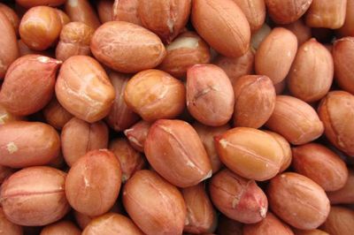 US Snacks Raw Unsalted Red Skin Peanuts, Spanish Peanut (1 Pound)