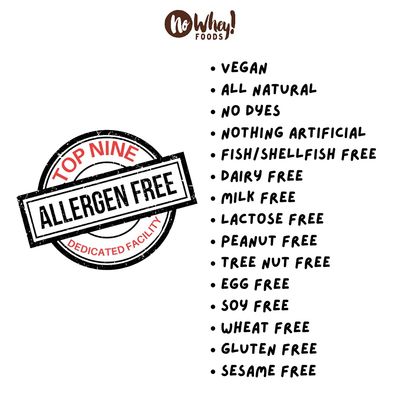 Vegan, Gluten Free Chocolatey Covered Pretzels (2 Pack) | Dairy Free, Peanut Free, Nut Free, Soy Free, All Natural, Sesame Free | Allergy Friendly | No Whey Foods