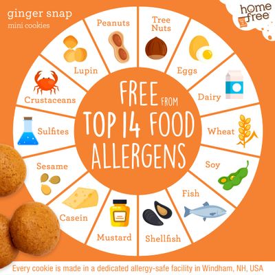 Homefree Mini Ginger Snap Cookies, Gluten Free, Nut Free, Vegan, School Safe and Allergy Friendly Snack, 3 LB Bulk