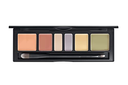 JUNGSAEMMOOL OFFICIAL Artist Concealer Palette (Blend) | Makeup Artist Brand | Color Corrector | Blemish Redness Dark Circles Cover Up | Brush Included