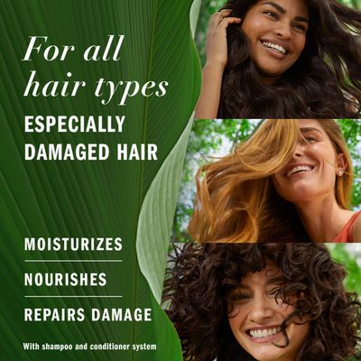 Herbal Essences Argan Oil Repair Shampoo &amp; Conditioner Set, Moisturizes &amp; Smoothes, Paraben-Free, Color-Safe, pH-Balanced, Citrus Scent, 20.2 Fl Oz, 2-Pack