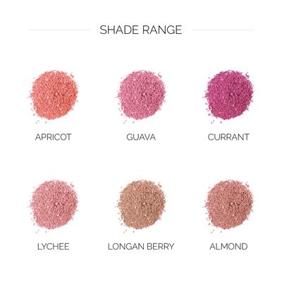 OFIR Elation Powder Blush - Buildable & Highly-Pigmented, Line-Blurring Formula for a Smooth Finish | Apricot - Subtle Peach Shade, 0.13 oz | Long-Lasting, Lightweight Blush Powder
