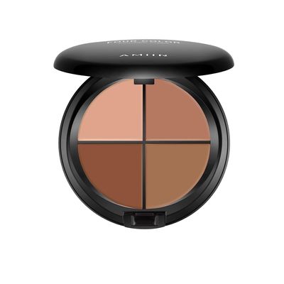 AMIIR Color Correcting Concealer Cream Full Coverage Professional Makeup Palette Flawless Face Contour, Medium to Dark