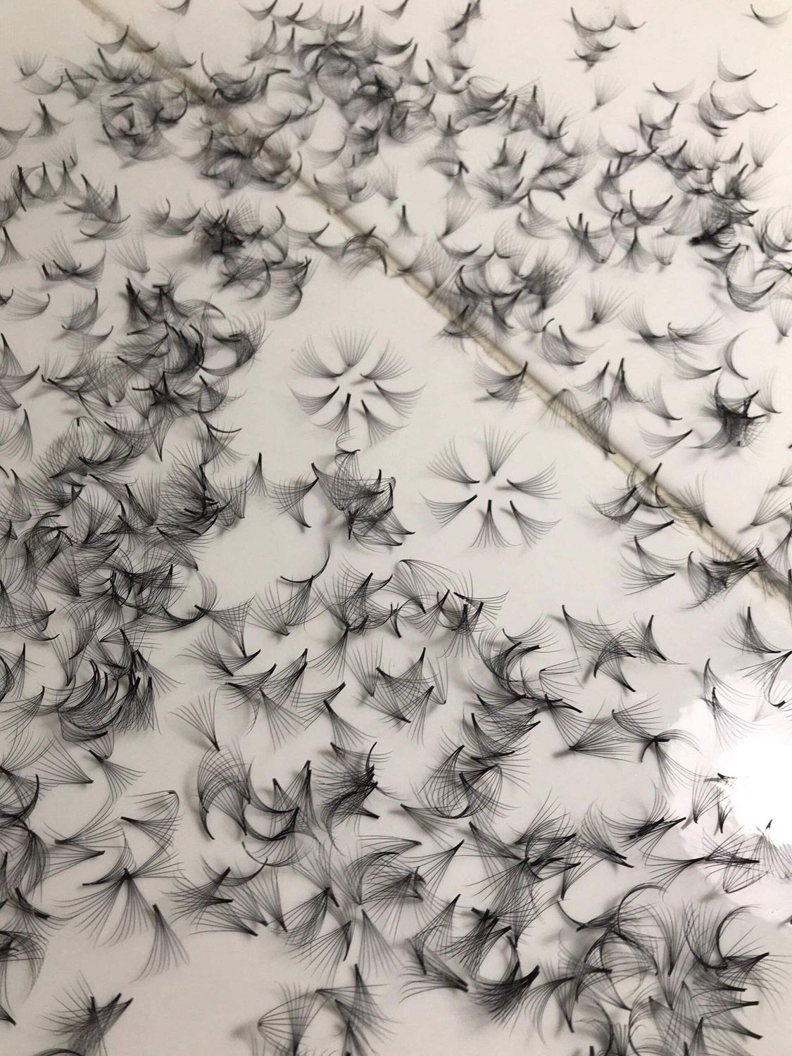 14D PREMADE (HAND MADE) FAN LASHES (500 FANSTRAY) FOR EYELASH EXTENSION, D CURL, 0.05 THICKNESS, LENGTH FROM 10MM-15MM (D10mm14D)
