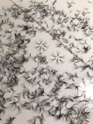14D PREMADE (HAND MADE) FAN LASHES (500 FANSTRAY) FOR EYELASH EXTENSION, D CURL, 0.05 THICKNESS, LENGTH FROM 10MM-15MM (D10mm14D)