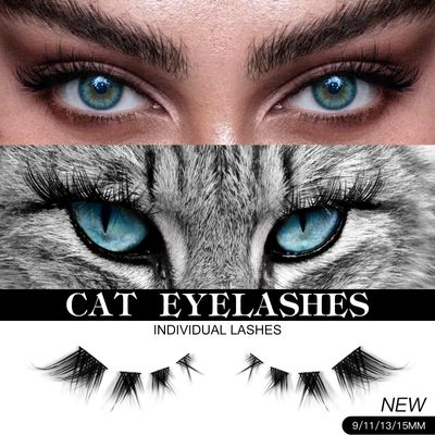 Bershnor 32 Pairs Cat Eye Individual Lashes Wispy Cat Eye Lashes DIY Lash Extensions 256pcs Clusters Lashes 8-16MM Fluffy Volume Eye Eyelashes Clusters