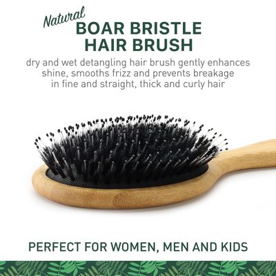 Natural Boar Bristle Hair Brush for Women, Men, Kids Dry and Wet Detangling Hair Brush Gently Enhances Shine, Smooths Frizz and Prevents Breakage in Fine and Straight, Thick and Curly Hair (oval)