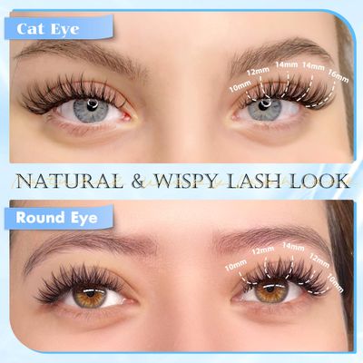 PHKERATA Natural Lash Clusters Wispy Eyelash Clusters 110 pcs Cluster Eyelash Extensions C Curl Individual Lashes 10-16 mm Mix Length Natural Look Lashes Clusters with Thin Lash Band