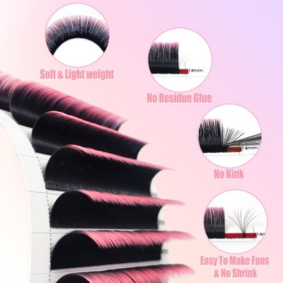 Pink Ombre Colored Lash Extensions 0.07 D Curl 8-14mm Mix Tray, CoMango Color Lashes Extension Easy Fan Volume Eyelash Extensions, Lashes Soft Matte Salon Use, Self Fanning Volume Lashes