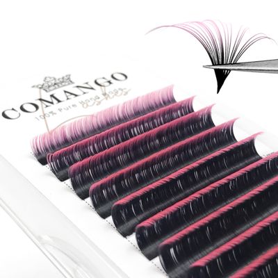 Pink Ombre Colored Lash Extensions 0.07 D Curl 8-14mm Mix Tray, CoMango Color Lashes Extension Easy Fan Volume Eyelash Extensions, Lashes Soft Matte Salon Use, Self Fanning Volume Lashes