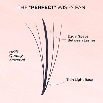 MDC LASHES Promade Wispy Lash Extension Volume Lashes 1000fans 0.05-0.07 Thickness, CDCC Curl, 8-18mm Loose Fans False Eyelashes 5D 7D 9D for Fluffy Eyelash Cluster, Soft, Long Lasting