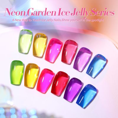 Born Pretty Jelly Gel Nail Polish Spring Summer Ice Jelly Neon Gel Polish Crystal Transparent Gel Polish Green Yellow Hot Pink Red Blue Purple Nail Art Varnish Manicure 6PCS Neon Garden