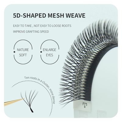 ANNAFRIS Double Tips 5D W Premade Fan Eyelash Extensions Volume Self Fanning False Lashes Faux Mink Matte Black Cluster Lash Extensions(0.07 D,9-13mm Mix)