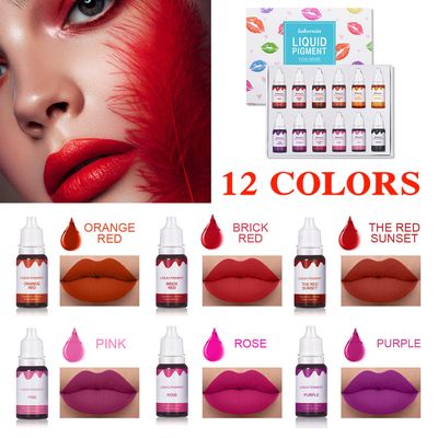 QIUFSSE 12 Colors DIY Lip Gloss Pigment SetLiquid Pigment for Lip Gloss Natural Multifunctional High Color Rendering Red Warm Color Pigment for Lip Gloss Making-Set A