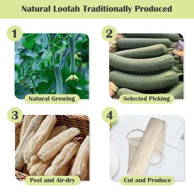 Natural Loofah Sponge Back Scrubber for Bath Shower, Exfoliating Body Scrubber, Shower Loofah Scrubber for Men and Women, Bath Sponge, Body Scrub, to Clean Your Body Deeply, Invigorate Your Skin