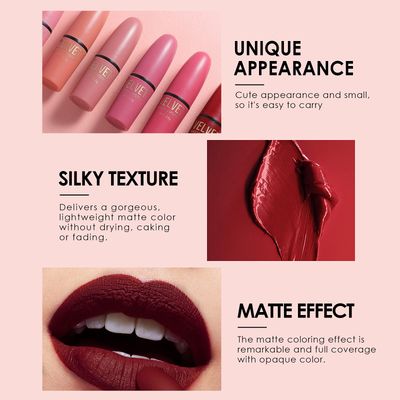 Dulele 6 Colors of Velvet Smooth Matte Lipstick Set, Long Lasting &amp; Waterproof Non-Stick Cup Nude Color Lip Makeup Gift Set for Girls and Women