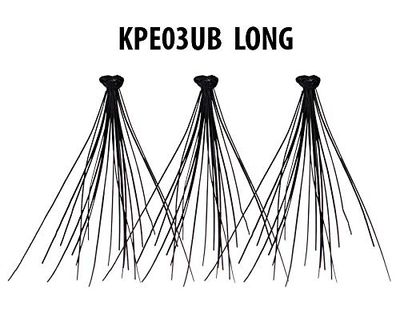Kiss Envy Ultra Black Flare Long Lashes