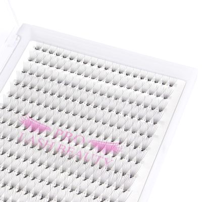 Premade Fans Eyelash Extensions 12D-D-0.07-13 Premade Volume Lash Extensions 320 Fans Pointed Base Fans 0.07 Premade Volume Fans C D Curl(12D-D-0.07-13)
