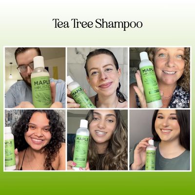 Clarifying Shampoo for Build Up & Oily Hair - Tea Tree Shampoo for Men and Women with Rosemary Essential Oil for Oily Hair and Scalp - Color Safe Vegan Sulfate Silicone & Paraben Free (8 Fl Oz)