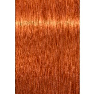 Schwarzkopf Professional Igora Royal Permanent Hair Color, 8-77, Light Blonde Copper, 60 Gram