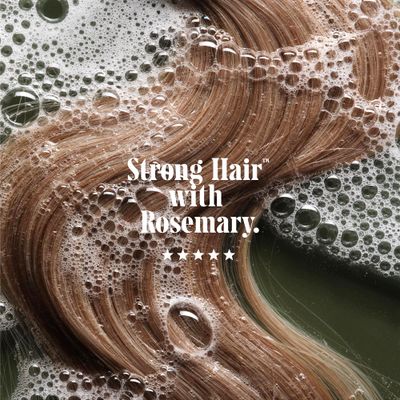 Ncessaire Rosemary Shampoo For Women and Men. Rosemary Oil, Ceramides  Proteins For Stronger Hair. Good for All Hair TypesTextures. 250 ml  8.4 fl oz