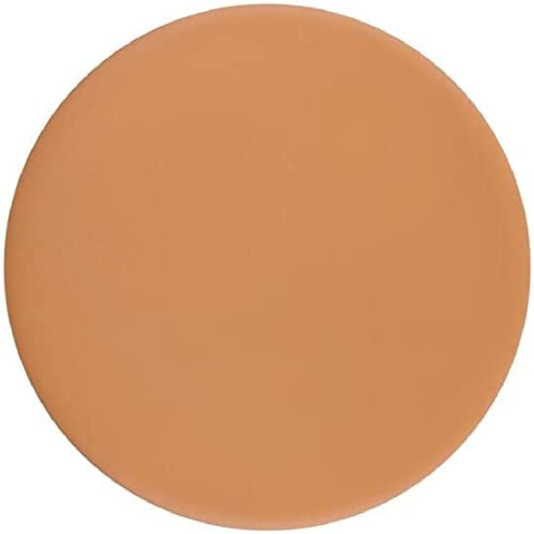 Bodyography Every Finish Powder - Silky Smooth Texture - Offers Full Coverage - #060 Dark